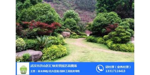 武汉园林绿化工程、园林绿化工程养护、武汉汇绿美景园艺